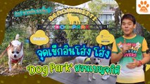 Pet พาเพลิน พาเที่ยว  Dog park สวนเบญจกิติ สวนน้องหมากลางใจเมือง