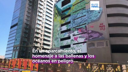 No more lies | El artista turco que cubre muros de verdades