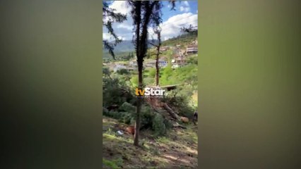 Πελασγία: Κατέστρεψαν ολόκληρα αλσύλλια κόβοντας δέντρα από την ρίζα