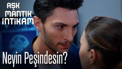 Neyin peşindesin! - Aşk Mantık İntikam