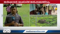 അരിക്കൊമ്പൻ: മോക്ഡ്രില്ലിന് മുന്നോടിയായി വനംവകുപ്പ് ഉദ്യോഗസ്ഥരുടെ യോഗം