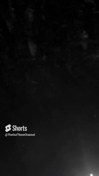 More bugs from low-res and hires unzoomed versions in CHCH NZ new zealand