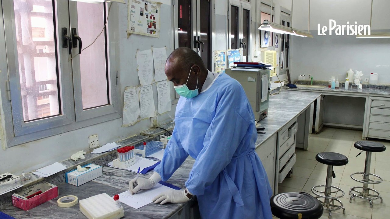 Soudan : un laboratoire qui détient des virus a...