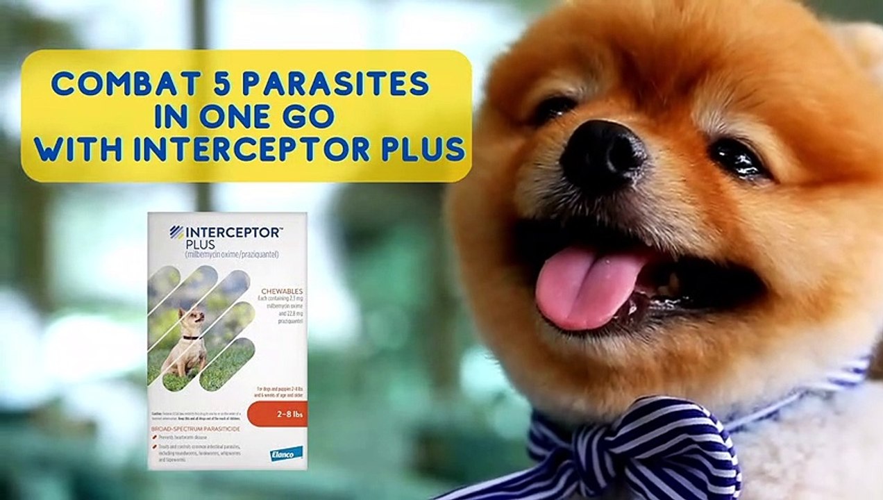 Combat 5 Parasites in One Go with Interceptor Plus