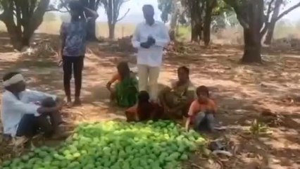 పెంబి: నాలుగు రోజులుగా అకాల వర్షాలు.. నీటిపాలైన పంటలు