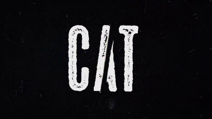 Cat E08 Web Series Episode