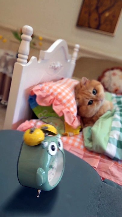 Twith Paste || Kittens funny style || Cute Cats Cots #billy #fyp #foryou #foryoupage ||
