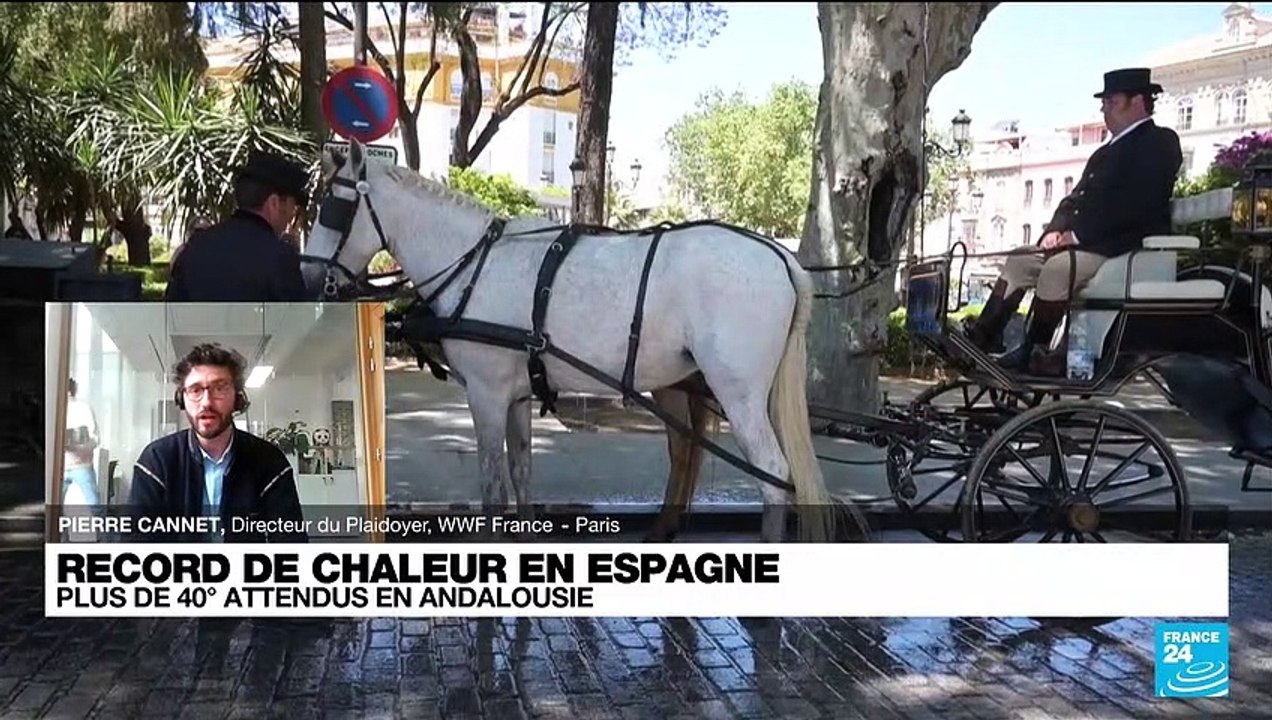 Record de chaleur en Espagne : plus de 40° attendus en Andalousie