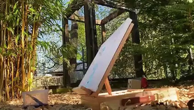 Creative raven produces stunning range of experimental paintings – using her beak