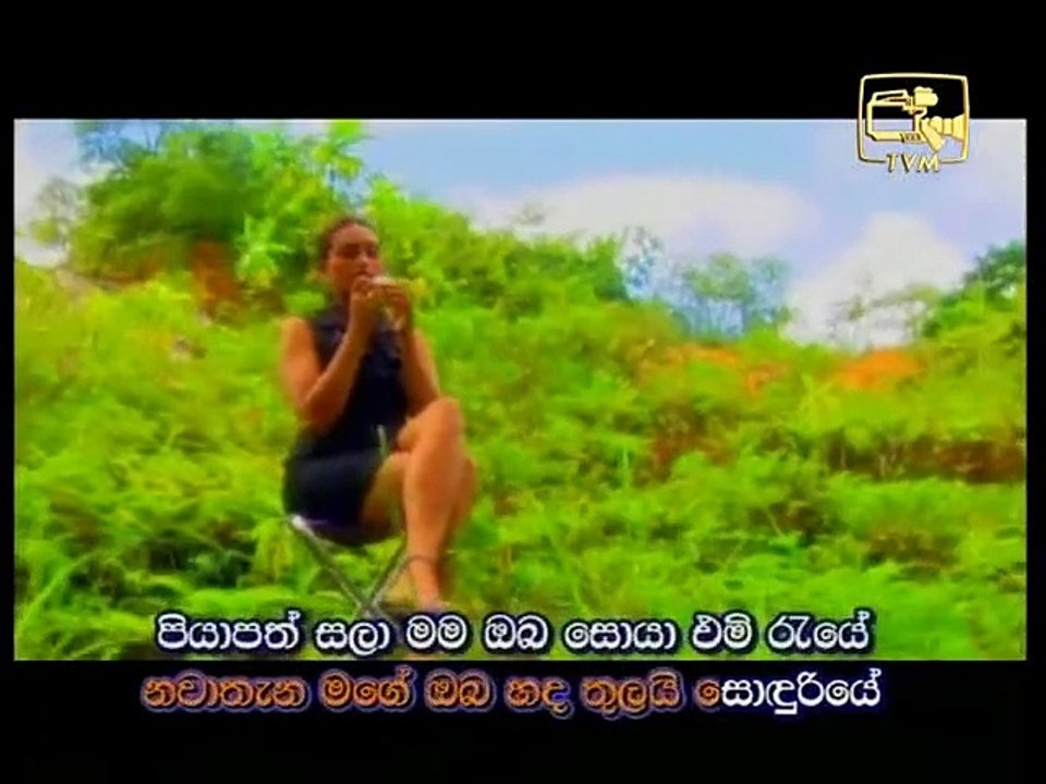 පියාපත් සලා - මිල්ටන් මල්ලවආරච්චි