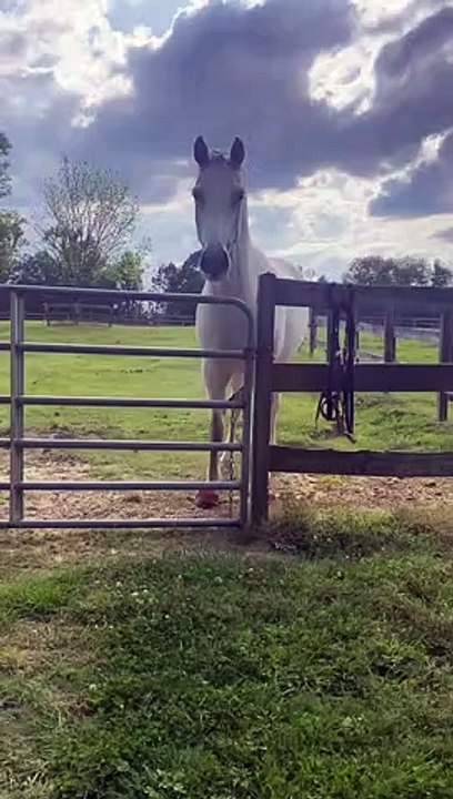 Tu vas être gentil aujourd'hui ?