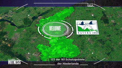 Warum sind niederländische Bauern so wütend?