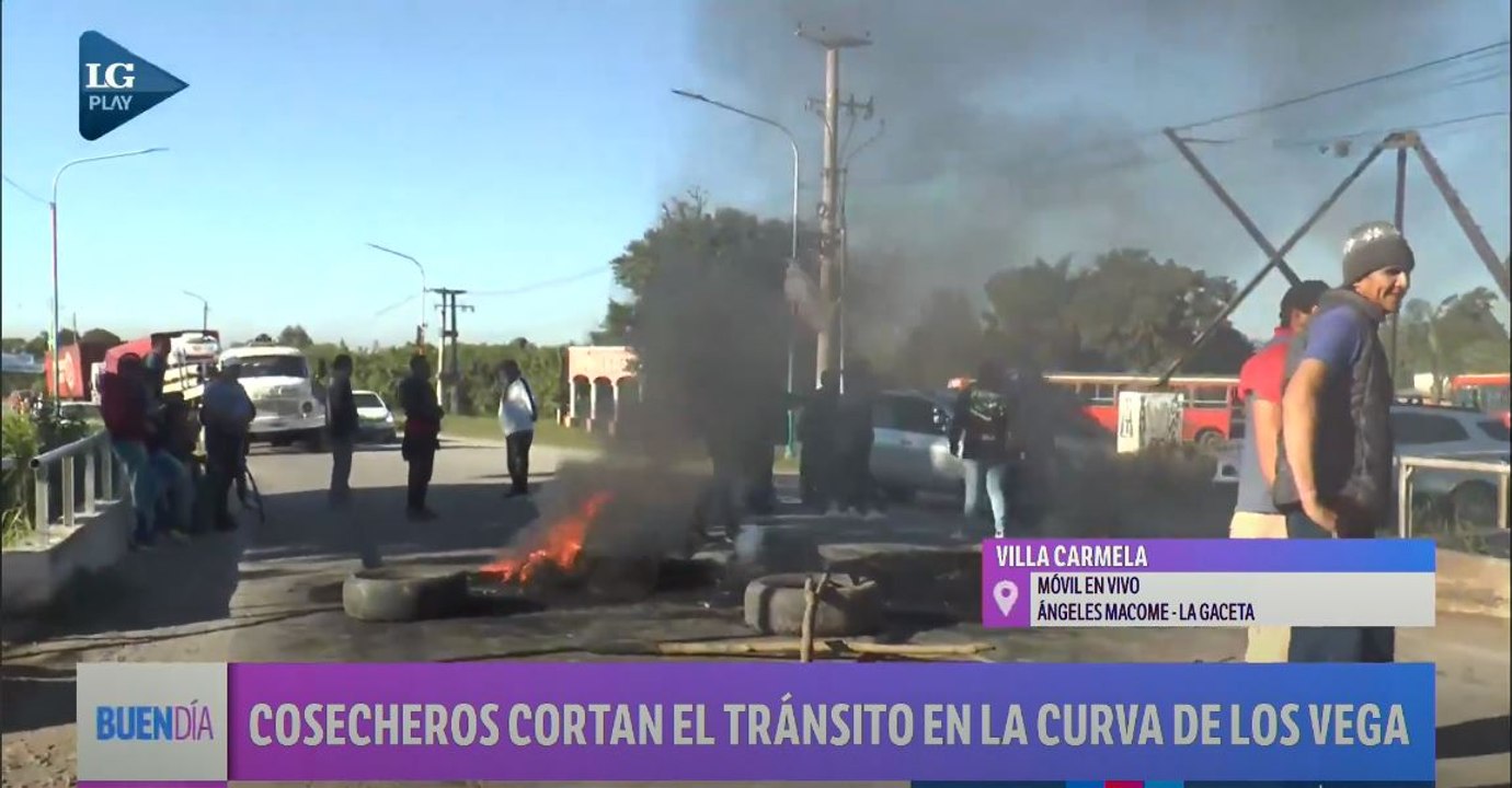 Cosecheros del limón cortan el tránsito en la Curva de los Vega