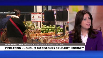 Download Video: Shannon Seban (Renaissance) : «Les industriels doivent réduire leurs marges lorsque le prix des matières premières baisse»