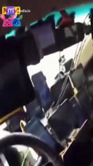 الحيوانات أيضًا يضحكون مقاطع فيديو مضحكة للحيوانات لعام 2023