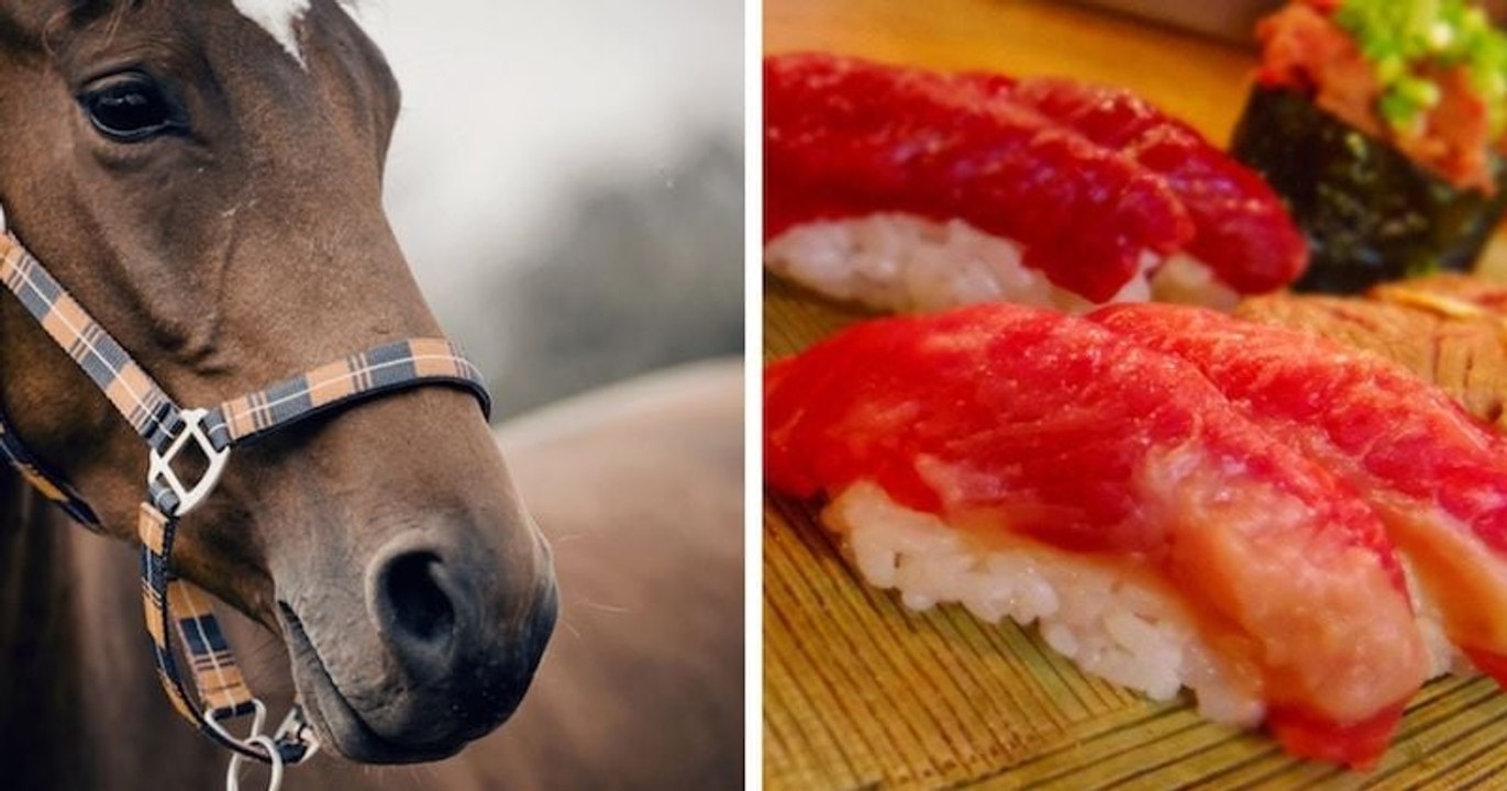 De la France au Japon, des chevaux vivants envoyés pour finir en sushis
