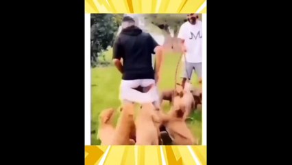 Girls reels dance videos