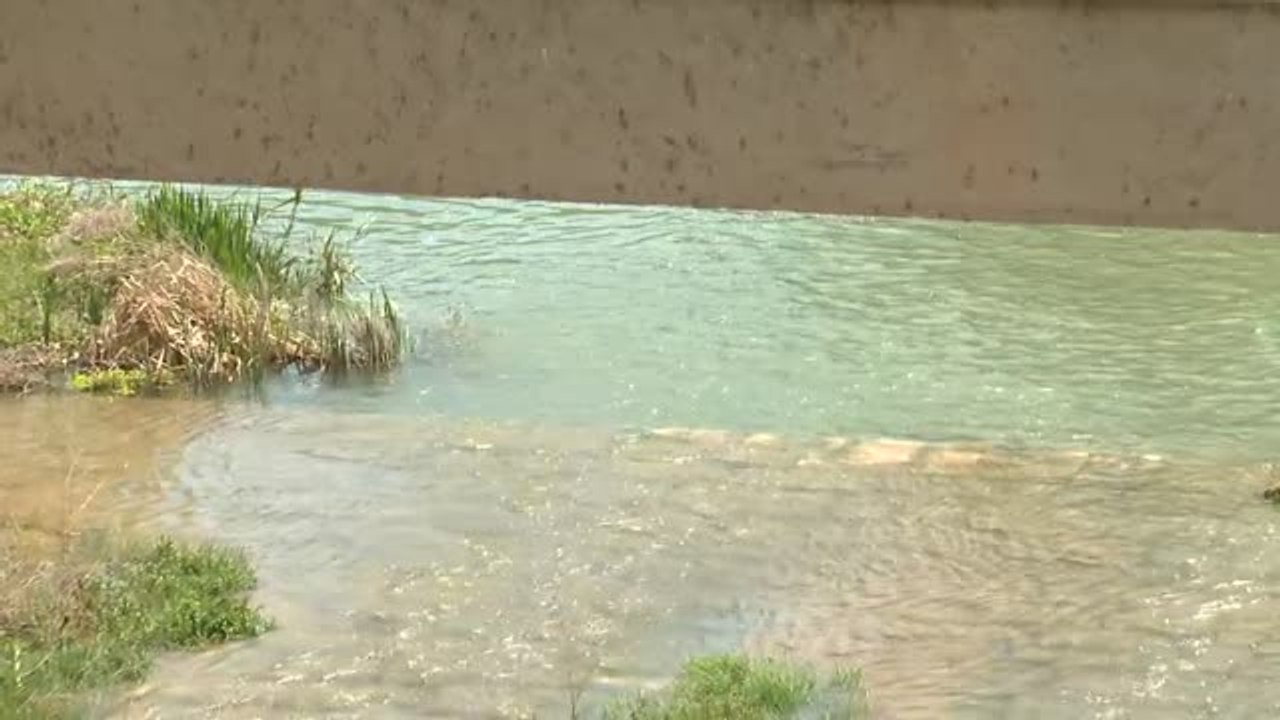 La sequía golpea con fuerza al campo: "Este año nos quedamos sin cosecha y el que viene, también"