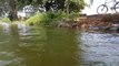 Village boys enjoying jumping on the  Pond in India