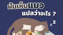 ฝันเห็นแมว แปลว่าอะไรในเชิงจิตวิทยา ?
