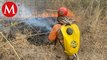 Combaten dos incendios forestales en Tulum, hay otro más en área natural protegida