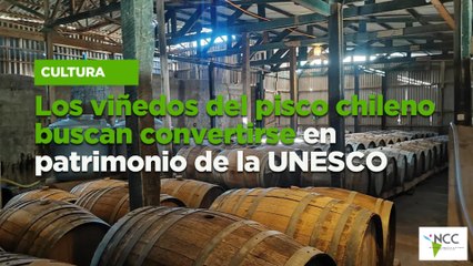 Los viñedos del pisco chileno buscan convertirse en patrimonio de la UNESCO
