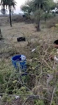 कंजर डेरों पर पुलिस की दबिश, शराब और चोरी की बाइक बरामद