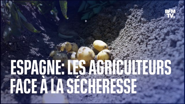 En Espagne, ce producteur de pommes de terre tente de faire face à la sécheresse