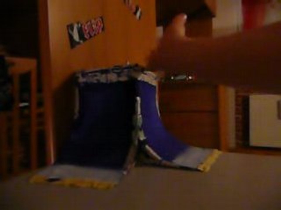 FINGER SKATE Ma figure preferer et repar de lotre cote