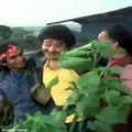 Baat Thi Yaar Ek Ber Ki / Kishore Kumar /Dharam Karam 1975