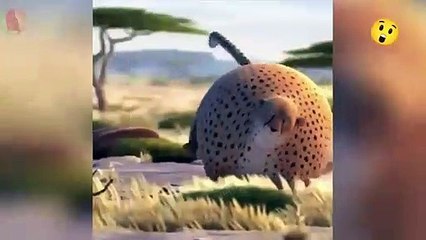 Tiger chasing deer ; Funny balloon style cartoon clip