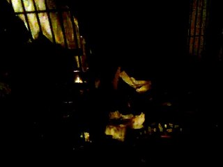 Blossom The White cockatoo Bird