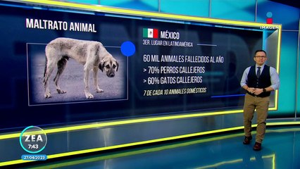 México ocupa el tercer lugar en Latinoamérica en maltrato animal