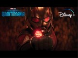Ant-Man and The Wasp: Quantumania | Streaming May 17 on Disney  - Marvel Studios