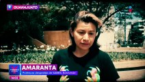 Despiden a la profesora Amaranta por denunciar acoso sexual