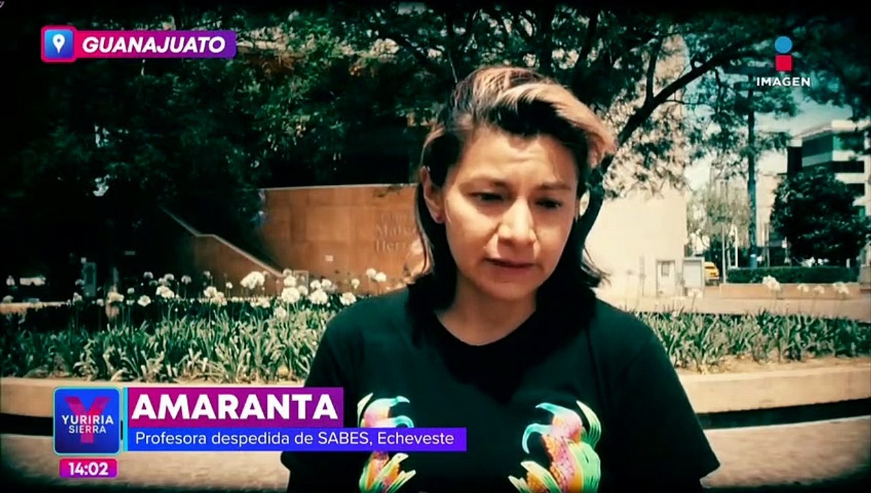 Despiden a la profesora Amaranta por denunciar acoso sexual