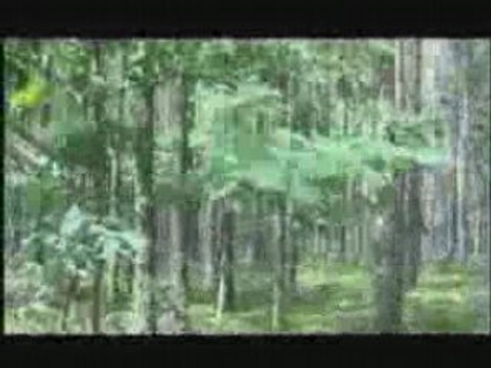 Masuria