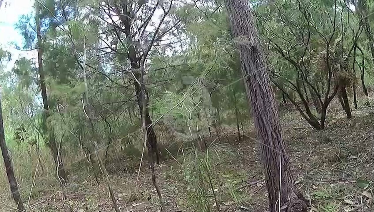 Police dog squad make dramatic arrest of alleged arsonist in NT bush land | April 28, 2023 | Katherine Times