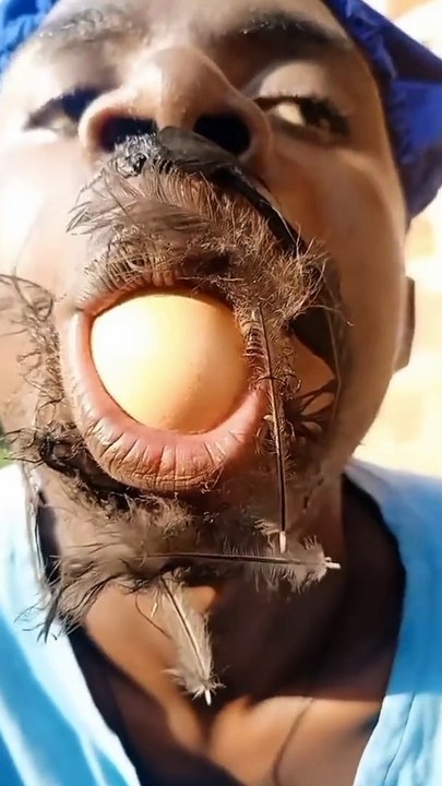 funny video 3