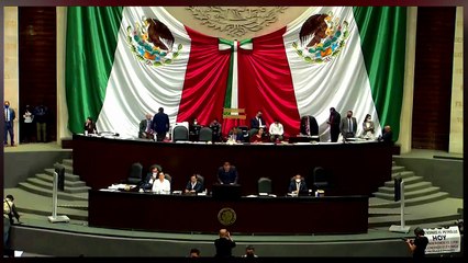 ¡VEAN! ¡Gato de Dante es despedazado por morena al revelar que lo compraron con 50 millones!