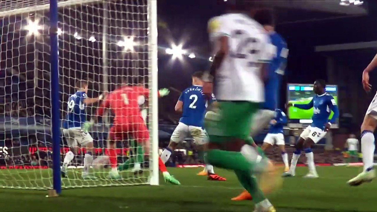 Everton 1 Newcastle United 4 _ Premier League Highlights