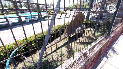 ¡Se ´fosilizaron´ los 12 millones! Parque Jurásico, 5 años sin funcionar