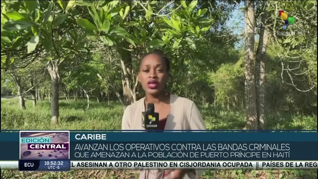 Policía haitiana mantiene operativos contra bandas criminales ante incremento de la violencia