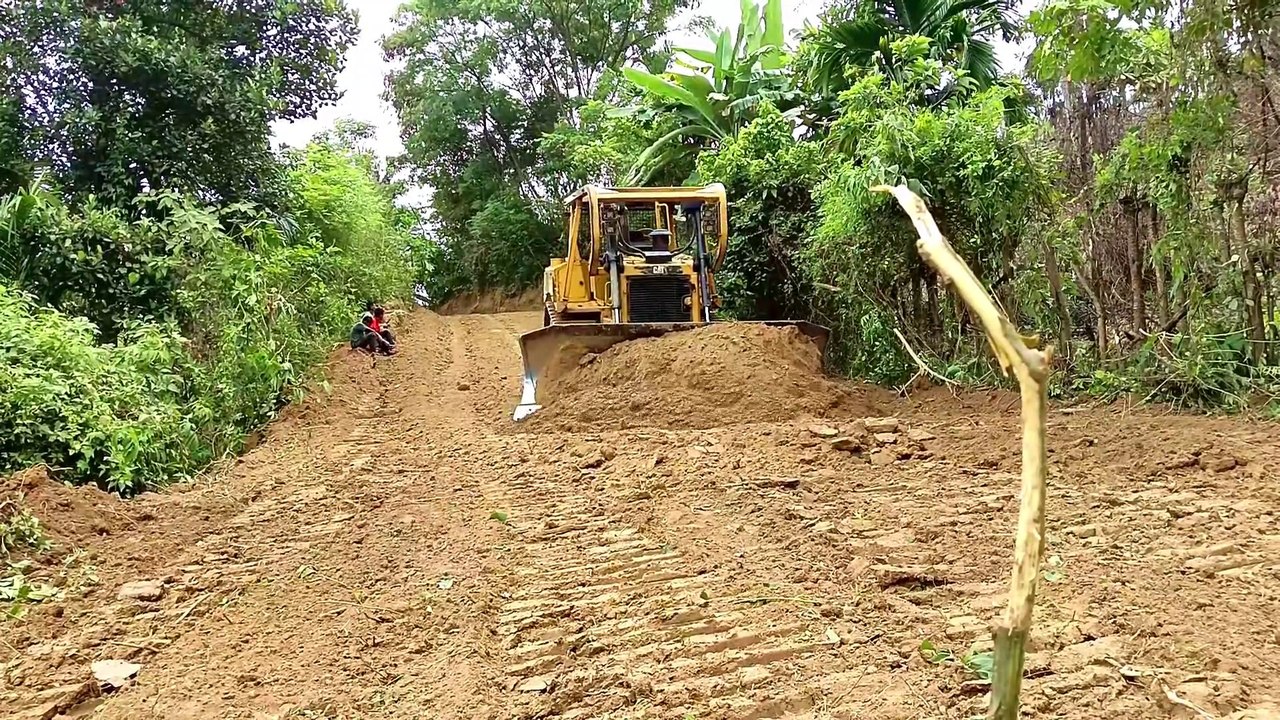 Caterpillar D6R XL Bulldozer Working Road Service on Plantation