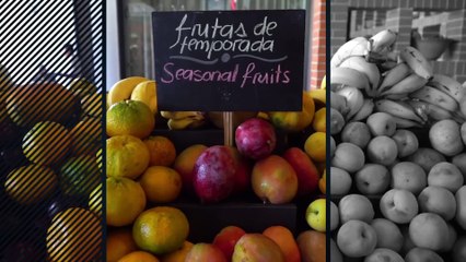 The adventure of a lifetime awaits you in 2024 in the beautiful Riviera Maya, Mexico