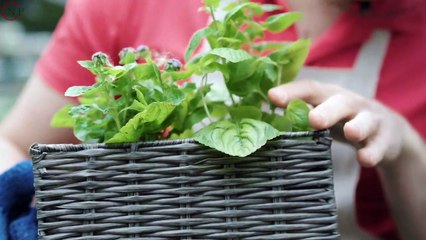 5000 Year-Old Medical Secret Unearthed!