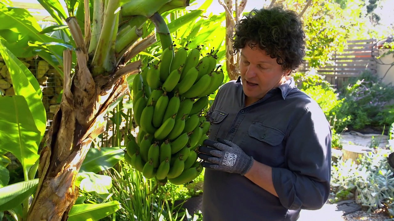 Gardening Australia episode 10 2023