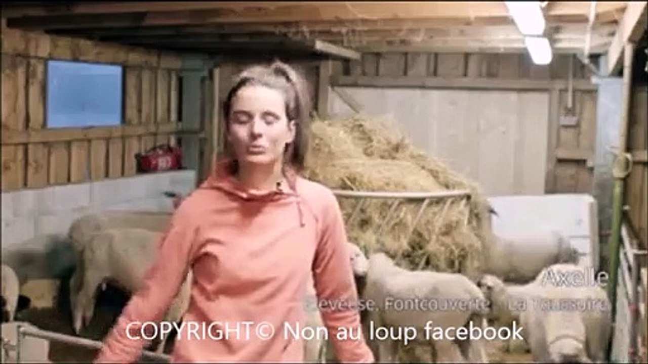 7.Que se passerait il si les agriculteurs disparaissaient des montagne