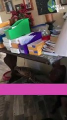 Dad's Oscar-Level Acting To Surprise Mom On Birthday || Heartsome