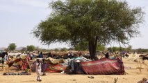 أوضاع اللاجئين السودانيين العابرين إلى تشاد